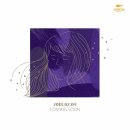 젤리피쉬 티브이데일리