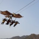 무릉별유천지전망카페