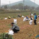 보령행정사무소 이미지