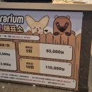 카페라소 이미지