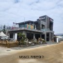 오대오리
