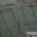 백경수낚시터 이미지