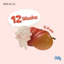 메디렌느산부인과의원 이미지