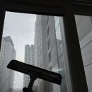 테일웨거 이미지