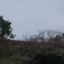 노화태양광발전소 이미지