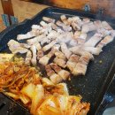 신장군집 이미지