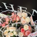 김광석 빛 길 | 대구 김광석거리 플라워샵 피헨플라워💐 기념일이 아니라 소소하기 완벽했던 꽃다발 후기