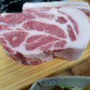 정직한여행주