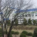 오산중.고등학교 Daum카페