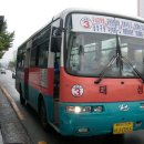 태성여객 이미지