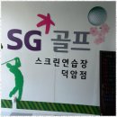 에스지스크린골프