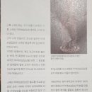 신안주씨 삼세적선비 이미지