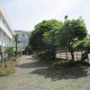 순천동산여자중학교 이미지