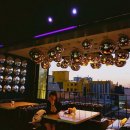 나우로데오 이미지