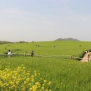 남도1농장 이미지