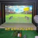 레몬골프 스크린골프존 이미지