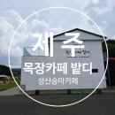 밭디