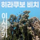 등대 | 이시가키 스노클링 포인트 <히라쿠보 비치> 등대 구경 후 방문 후기