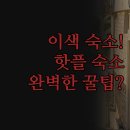 스완지 | 추천 | 이색 숙소 핫 터브 요트 코티지 | 내 취향에 딱 맞는 3곳 솔직 후기 | 완벽한 휴가 꿀팁 총정리