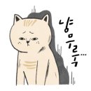 야옹아놀자청주점