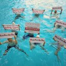 세계로안전(주) 이미지