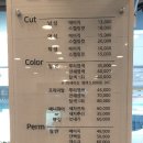 비손헤어 이미지