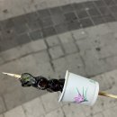 푸르티아수영