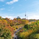 남산공원길3 이미지