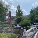 조옹대식당 | 강아지랑 여행 : 영천/임고서원/삼송꾼만두/영천강변체육공원 (반려동물동반여행 추천)