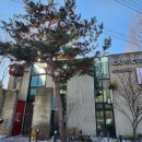 캣인큐브 이미지