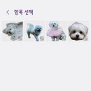 에코사이트 이미지