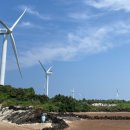 월정뷰게스트하우스코난비치대여점 이미지