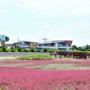 무안생태갯벌과학관 이미지