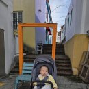 프로방스 | 전라도 담양여행 메타프로방스, 메타세쿼이아 길 후기