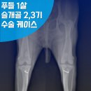 뉴타운동물병원 이미지