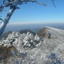 제75회 정기산행 충북 보은 구병산 877m 백대명산 2019,02,10(일) 이미지