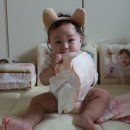 보송갈비 이미지