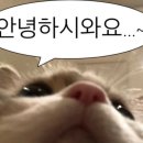 5150피트니스 - 고양시 일산서구 중앙로 1564 | 5150피트니스