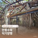 타이난 안평수옥 안핑트리하우스 입장료 가는법 필수코스 추천 (feat.덕기양행)