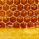 장수양봉원 이미지