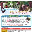 포도민박 이미지