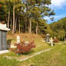 조정자 농장 이미지