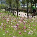 낙동강관리본부 화명생태공원 3 이미지