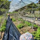 주경농장 이미지