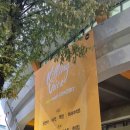 딩고 | 💡2025 딩고뮤직콘서트 후기