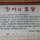 고흥장어마을 네이버블로그