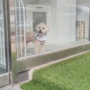 원미용실 이미지