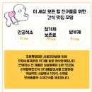 꼬르륵댕댕 | [강아지수제간식] 천안 아산 꼬르륵댕댕_소, 닭, 오리 테린/ 우리 강아지가 참 잘먹어요:)