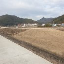 가마치통닭 수월점 이미지