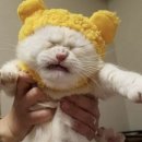 아낌 | [대출] 아낌e보금자리론 후기 1탄. 대출의 초중반 과정